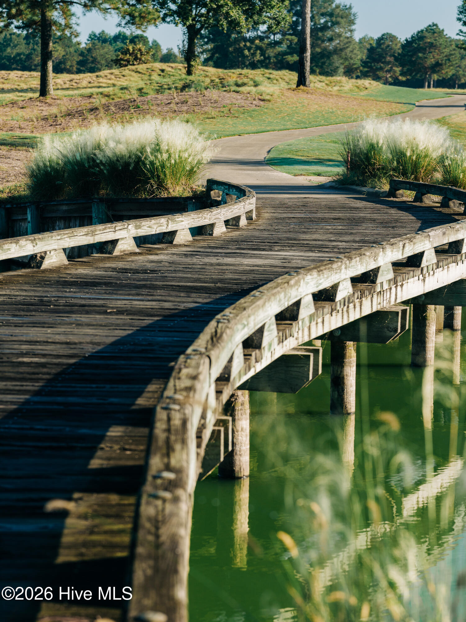 16 Pinewood Cove Property Photo 57