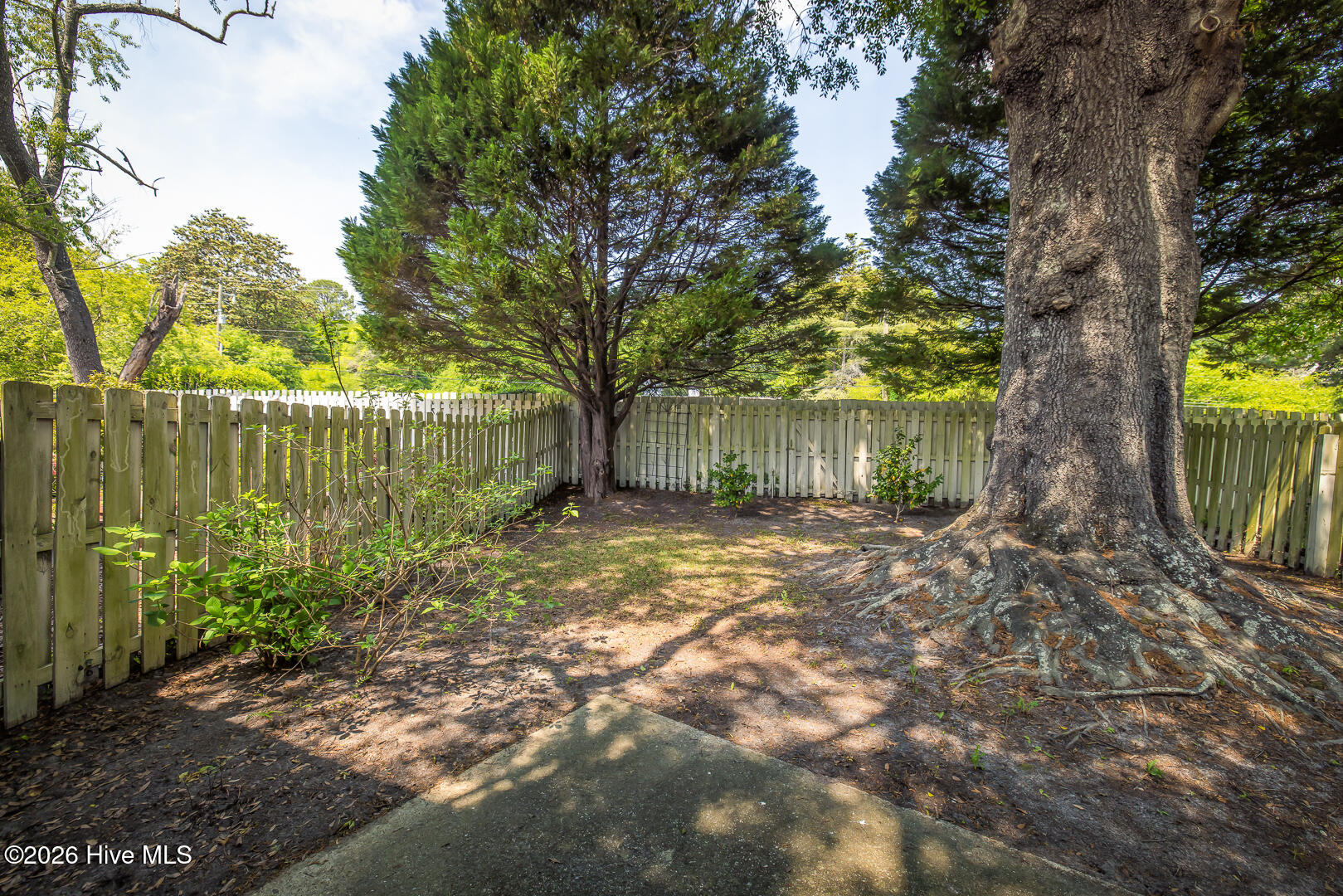 948 Birch Creek Drive Property Photo 6