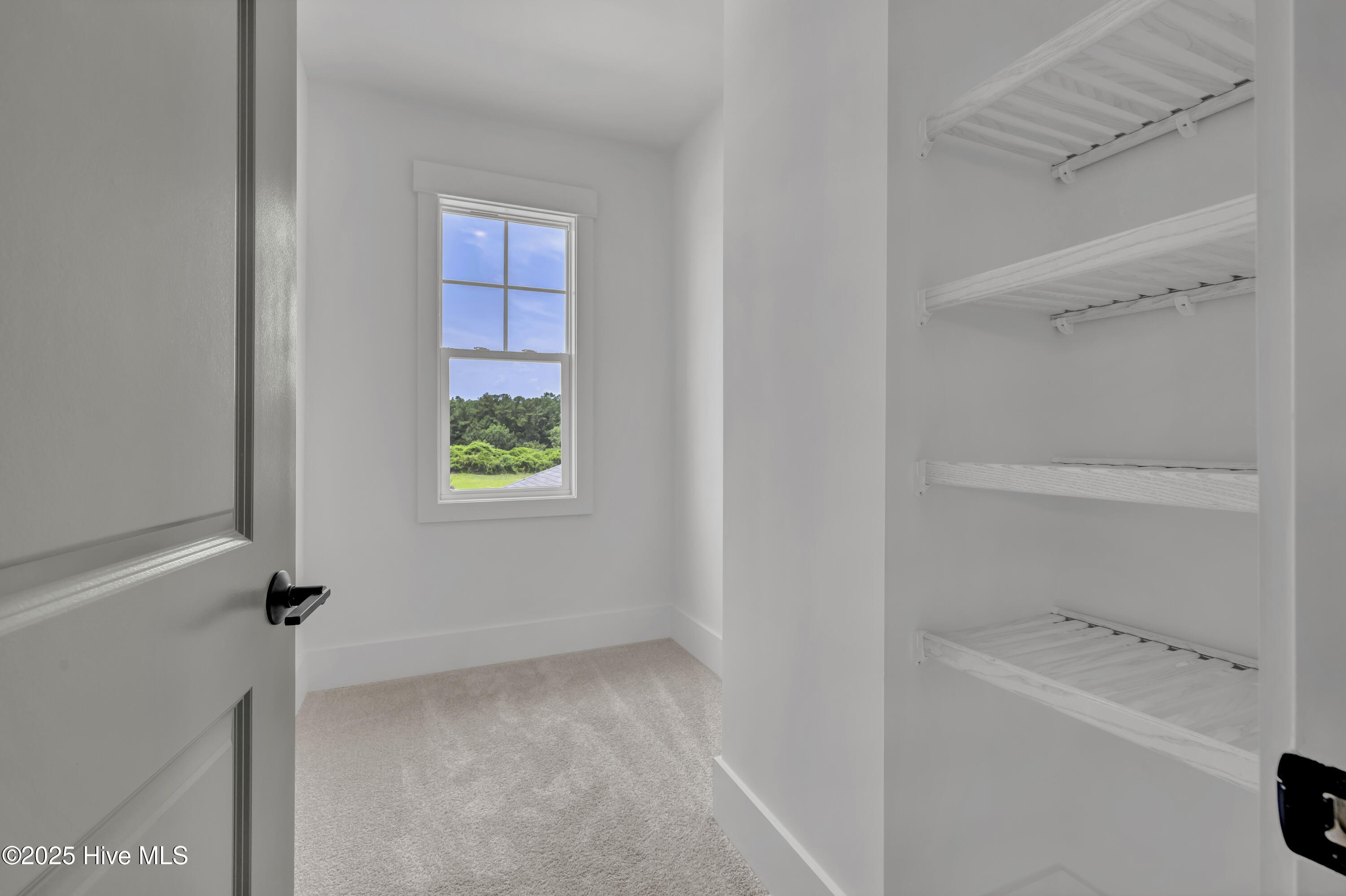357 Planters Walk Property Photo 52
