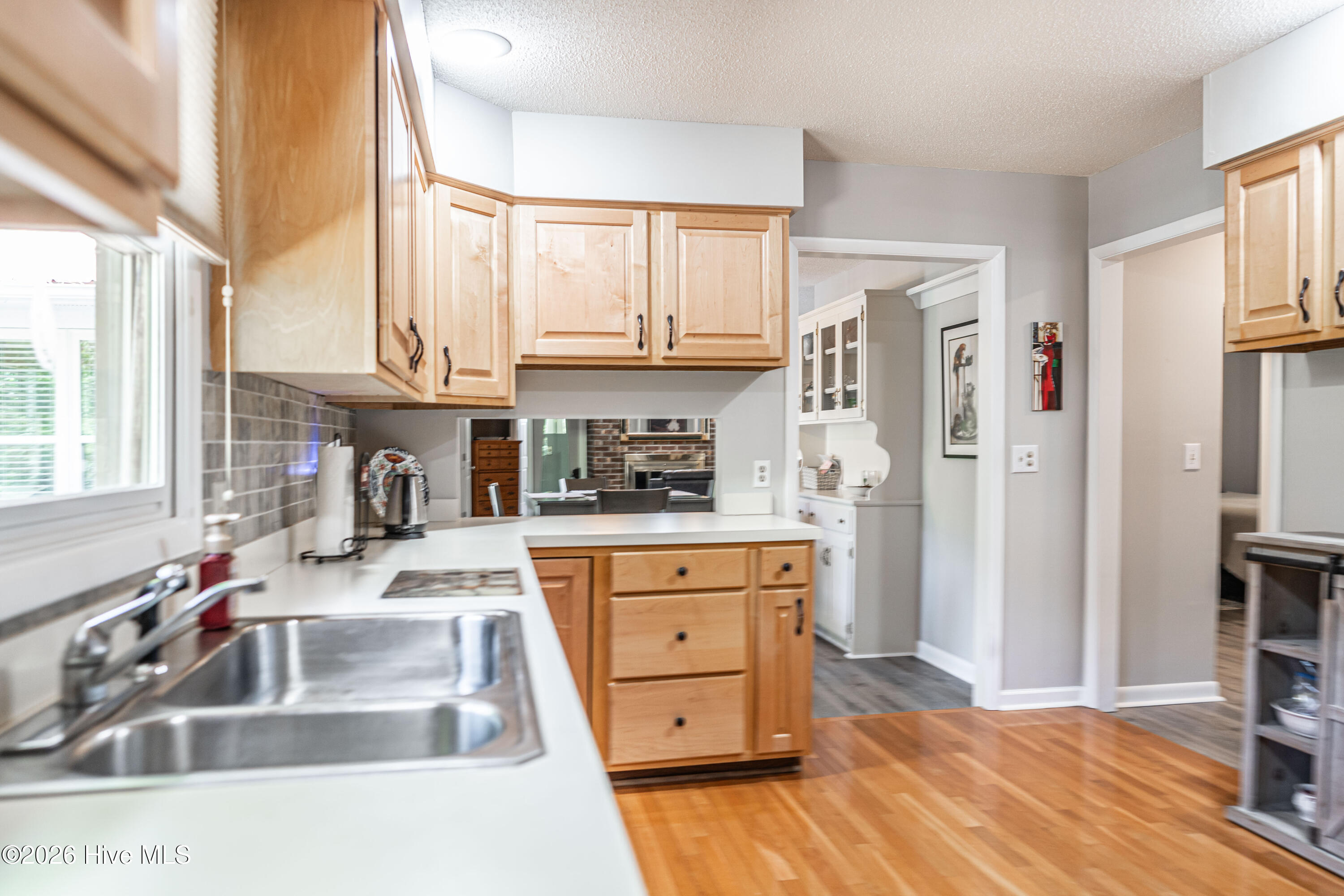 101 Swan Run Court Property Photo 19
