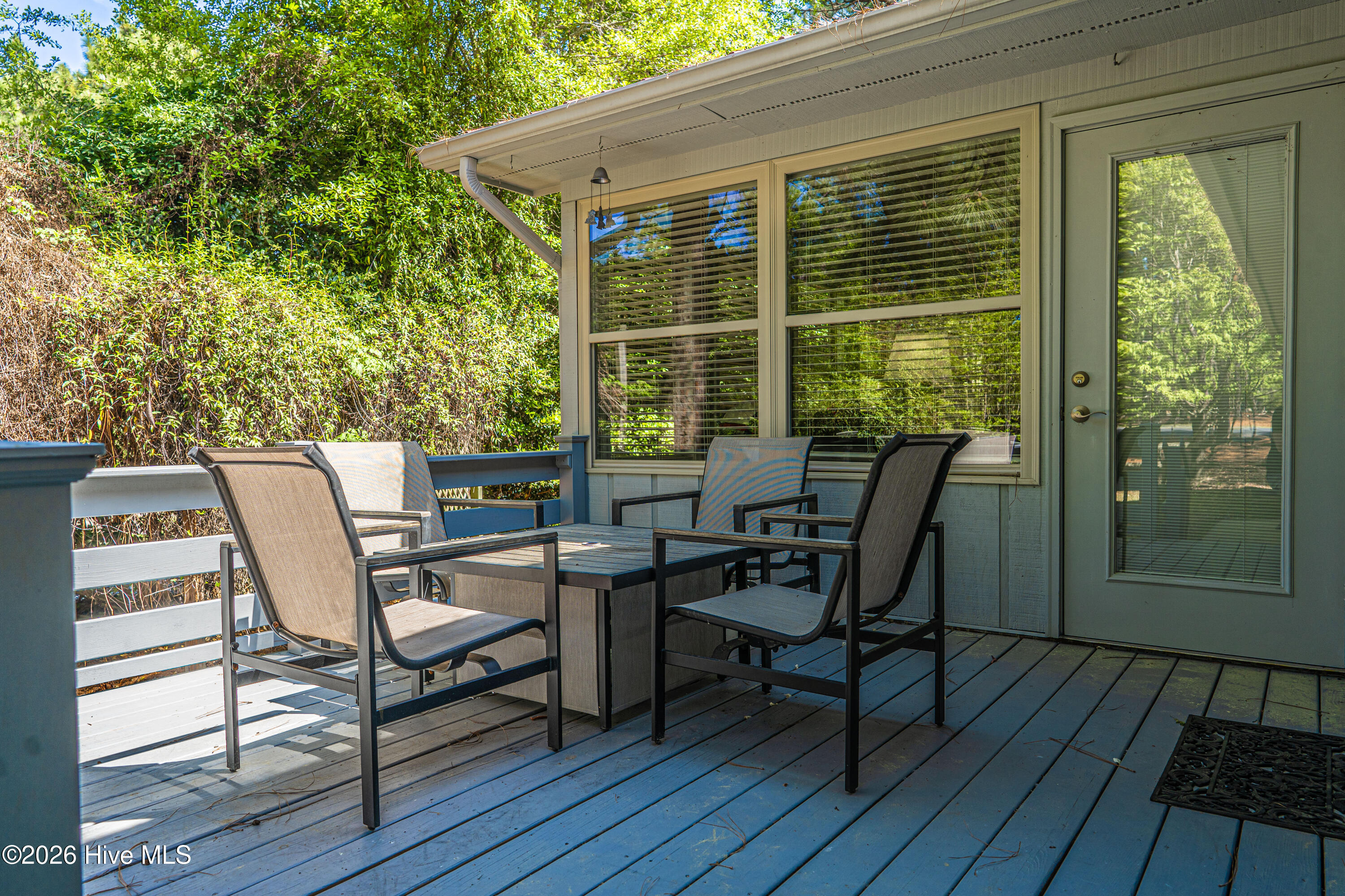 101 Swan Run Court Property Photo 45