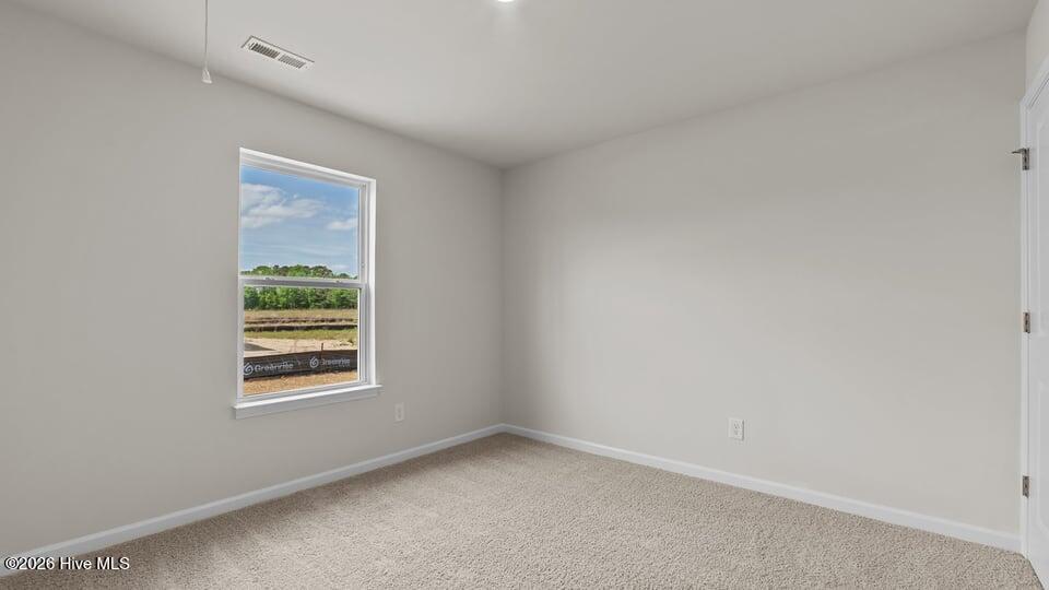 113 Claude Street Property Photo 17