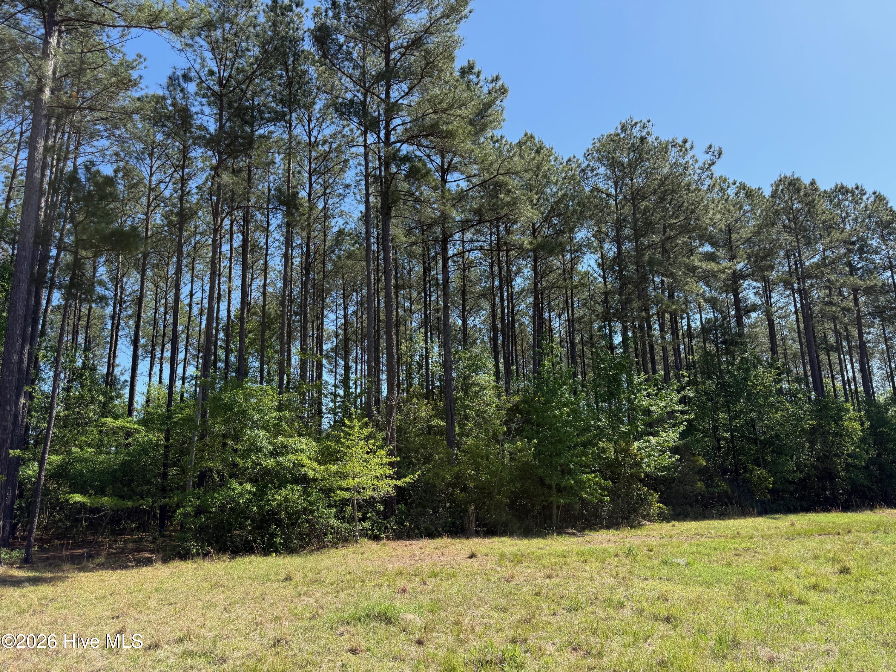 20.51 Acre Sweat Drive Property Photo 3