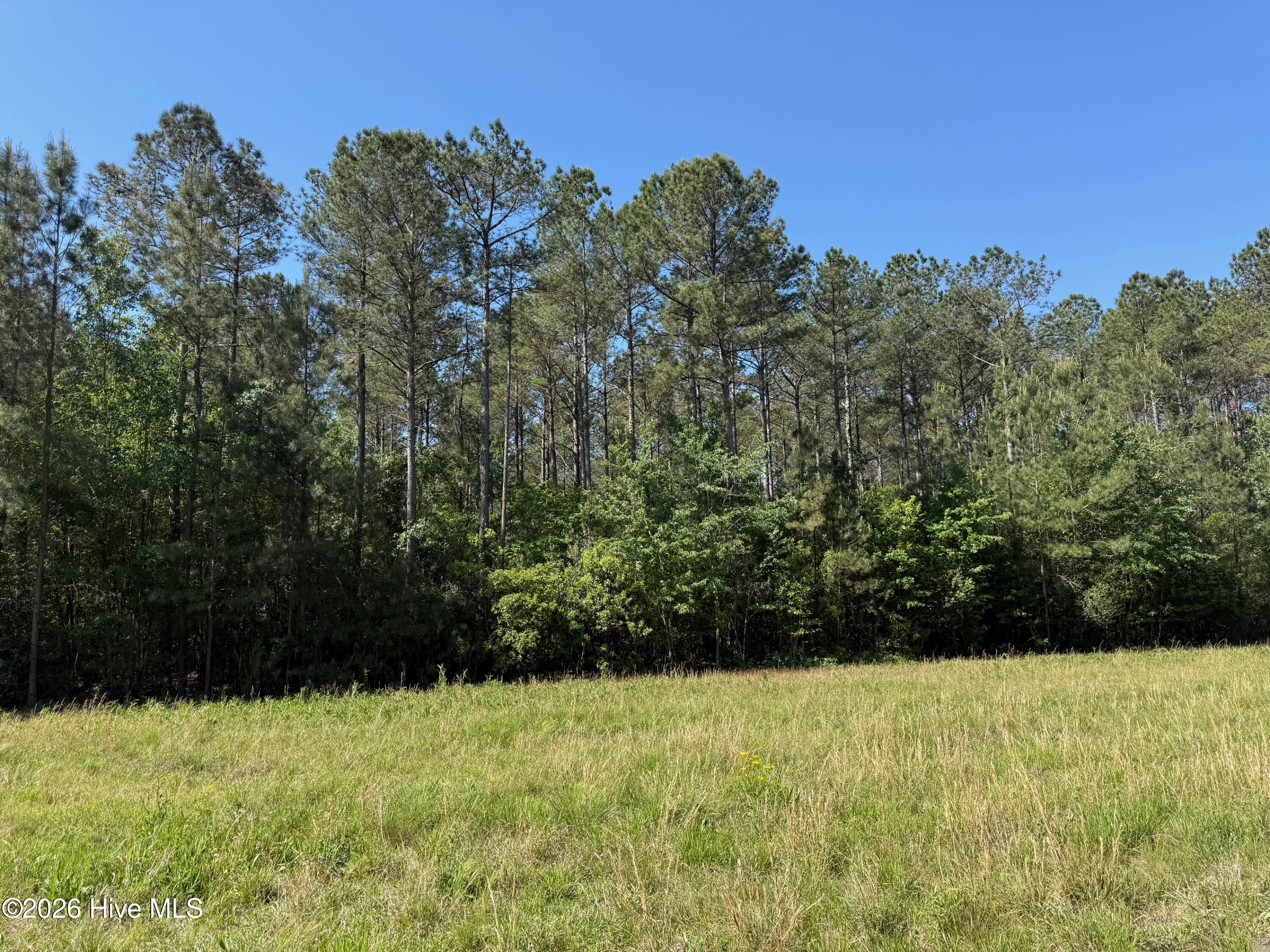 20.51 Acre Sweat Drive Property Photo 5