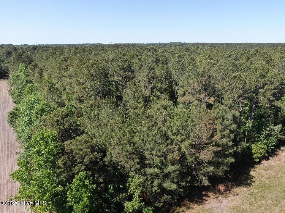 20.51 Acre Sweat Drive Property Photo 7