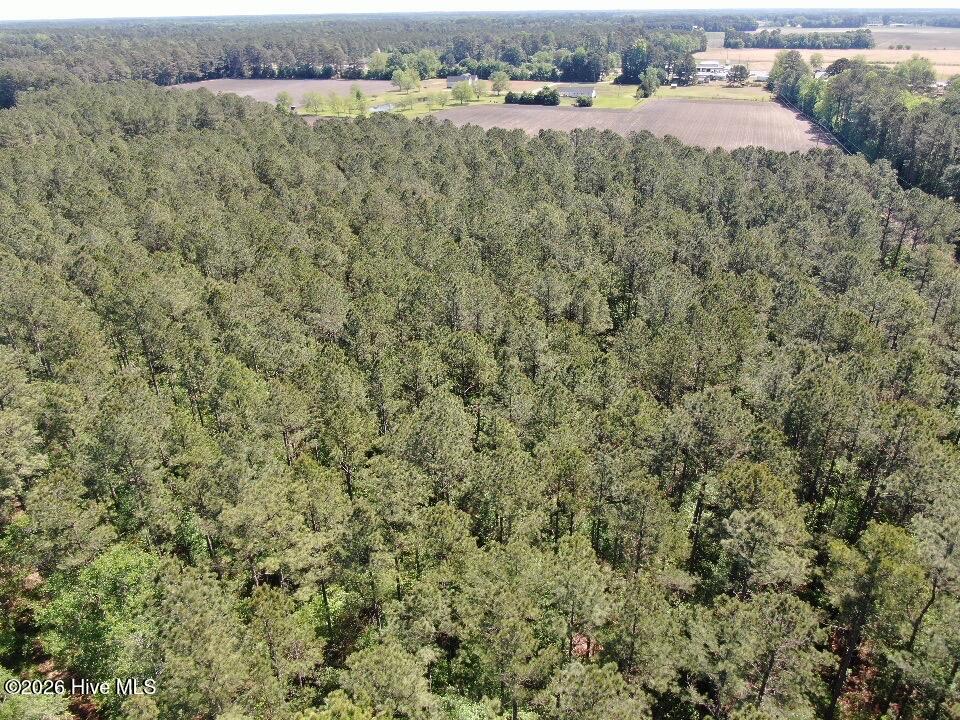 20.51 Acre Sweat Drive Property Photo 9