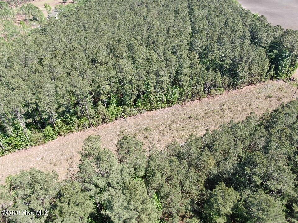 20.51 Acre Sweat Drive Property Photo 11