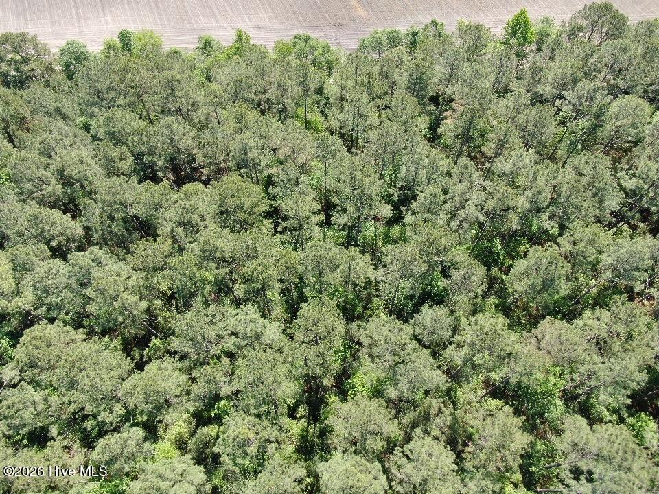 20.51 Acre Sweat Drive Property Photo 13