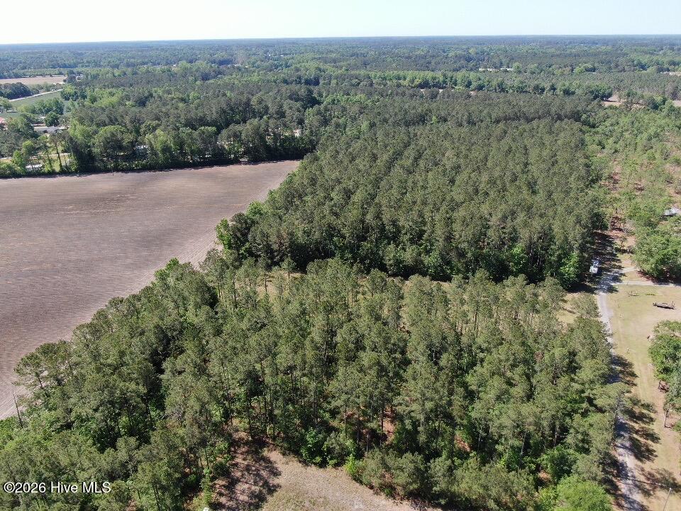 20.51 Acre Sweat Drive Property Photo 15