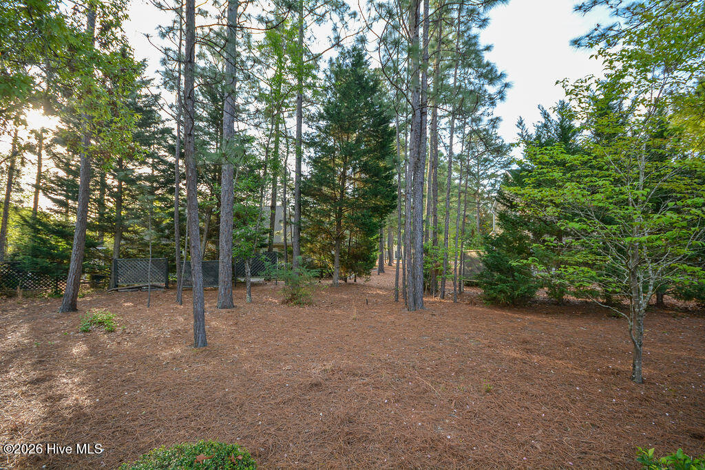 6 Spruce Lane Property Photo 49