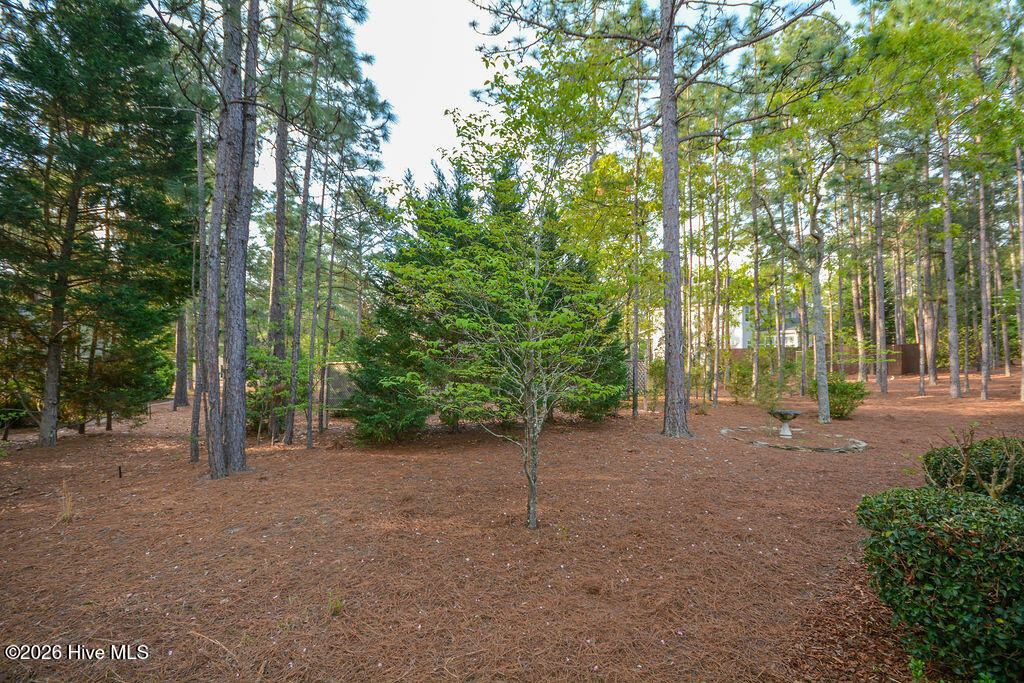 6 Spruce Lane Property Photo 50