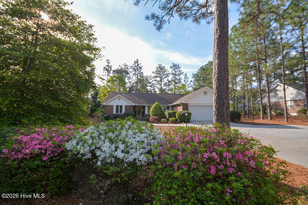 6 Spruce Lane Property Photo 56