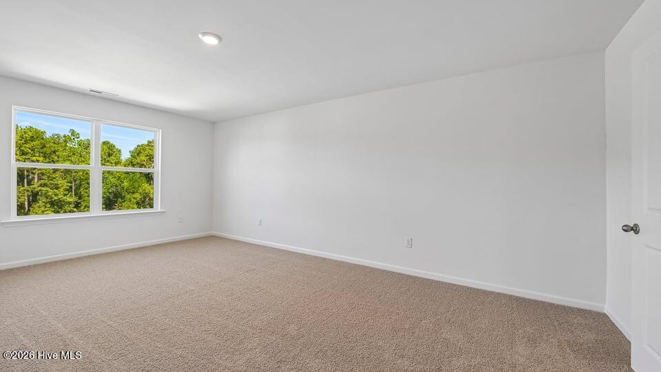190 Charlies Bend Way Property Photo 30