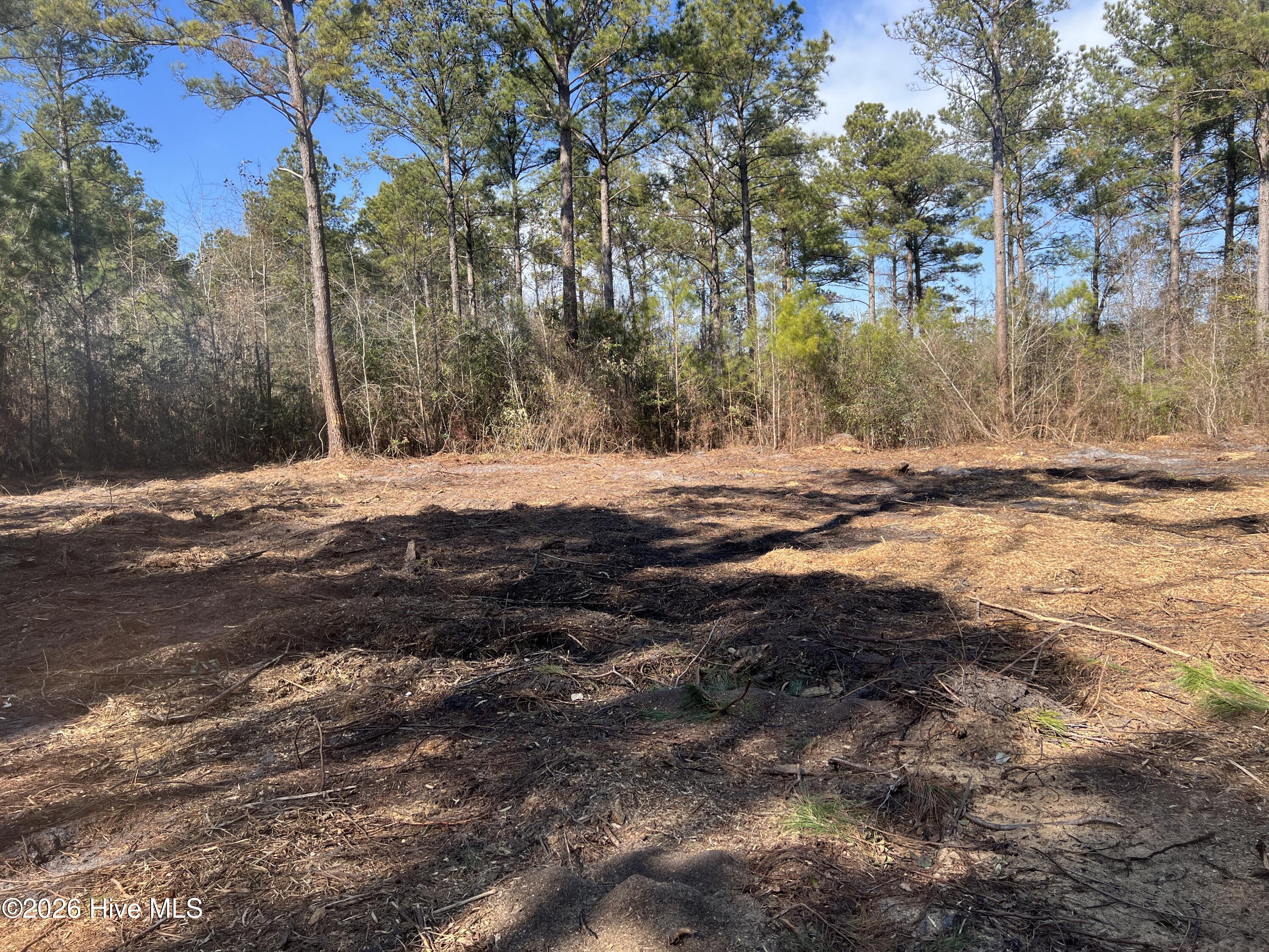 1827 Lightwood Bridge Road Property Photo 2