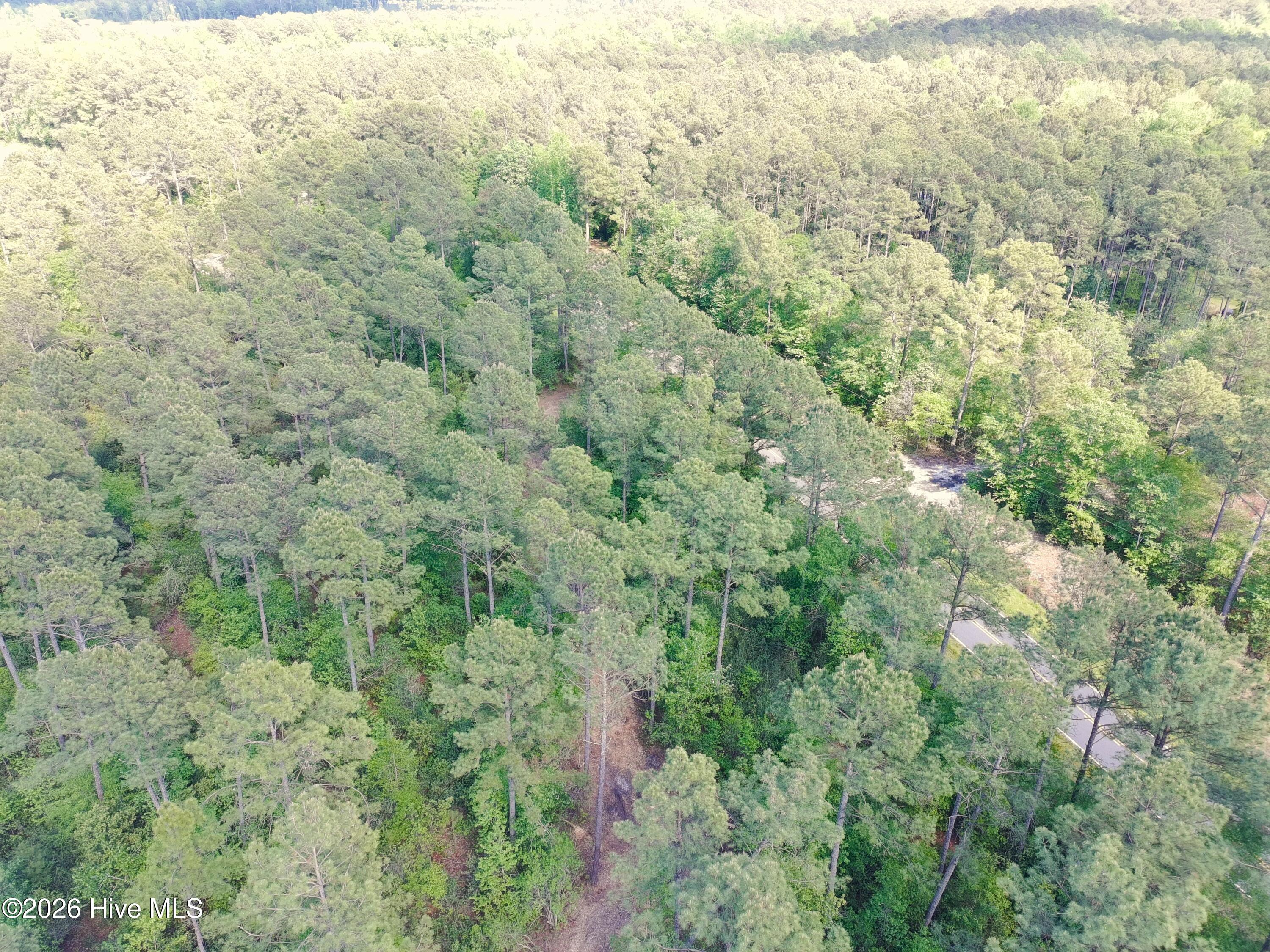 1827 Lightwood Bridge Road Property Photo 5