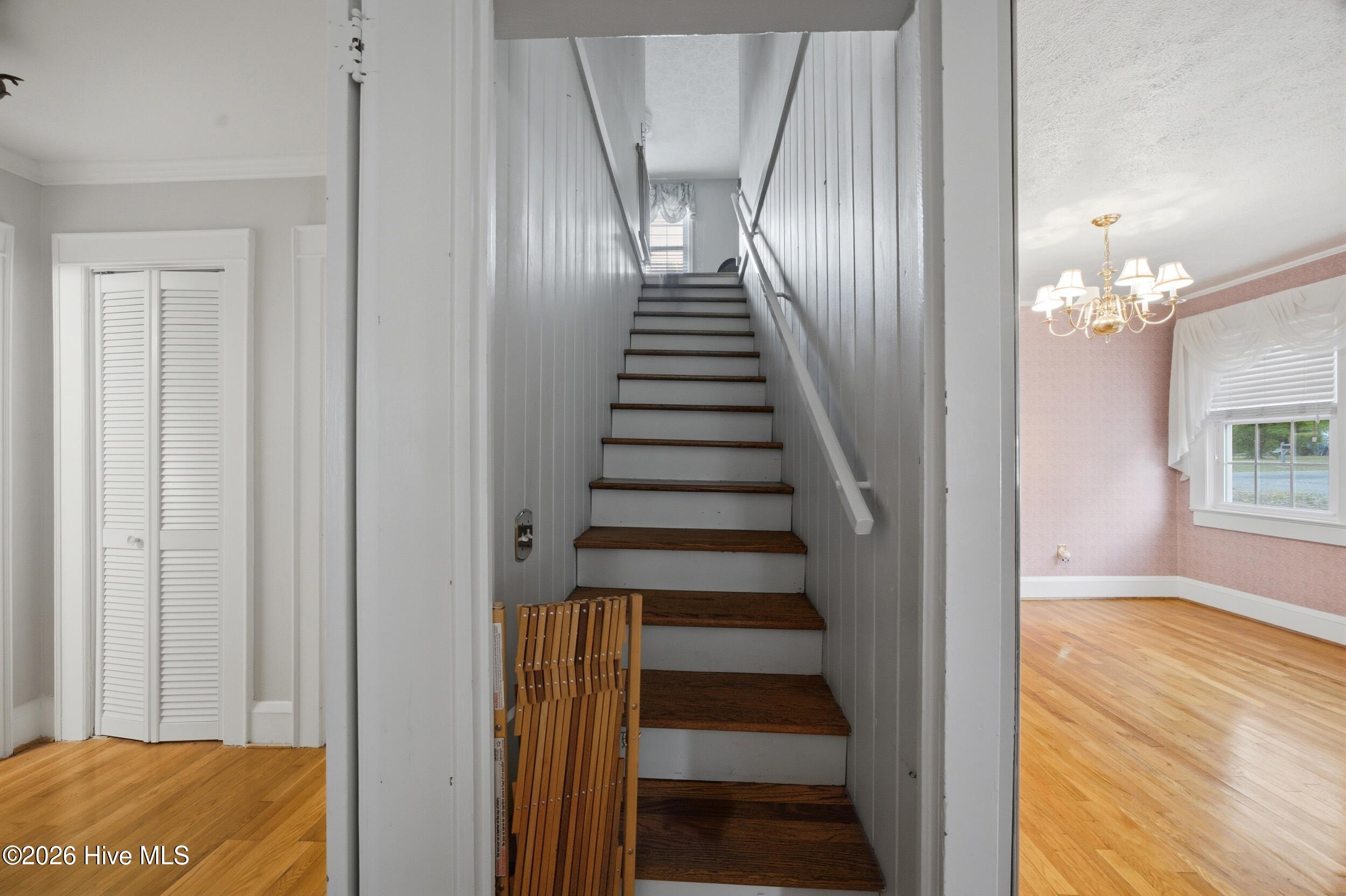 409 Myrtle Avenue Property Photo 23