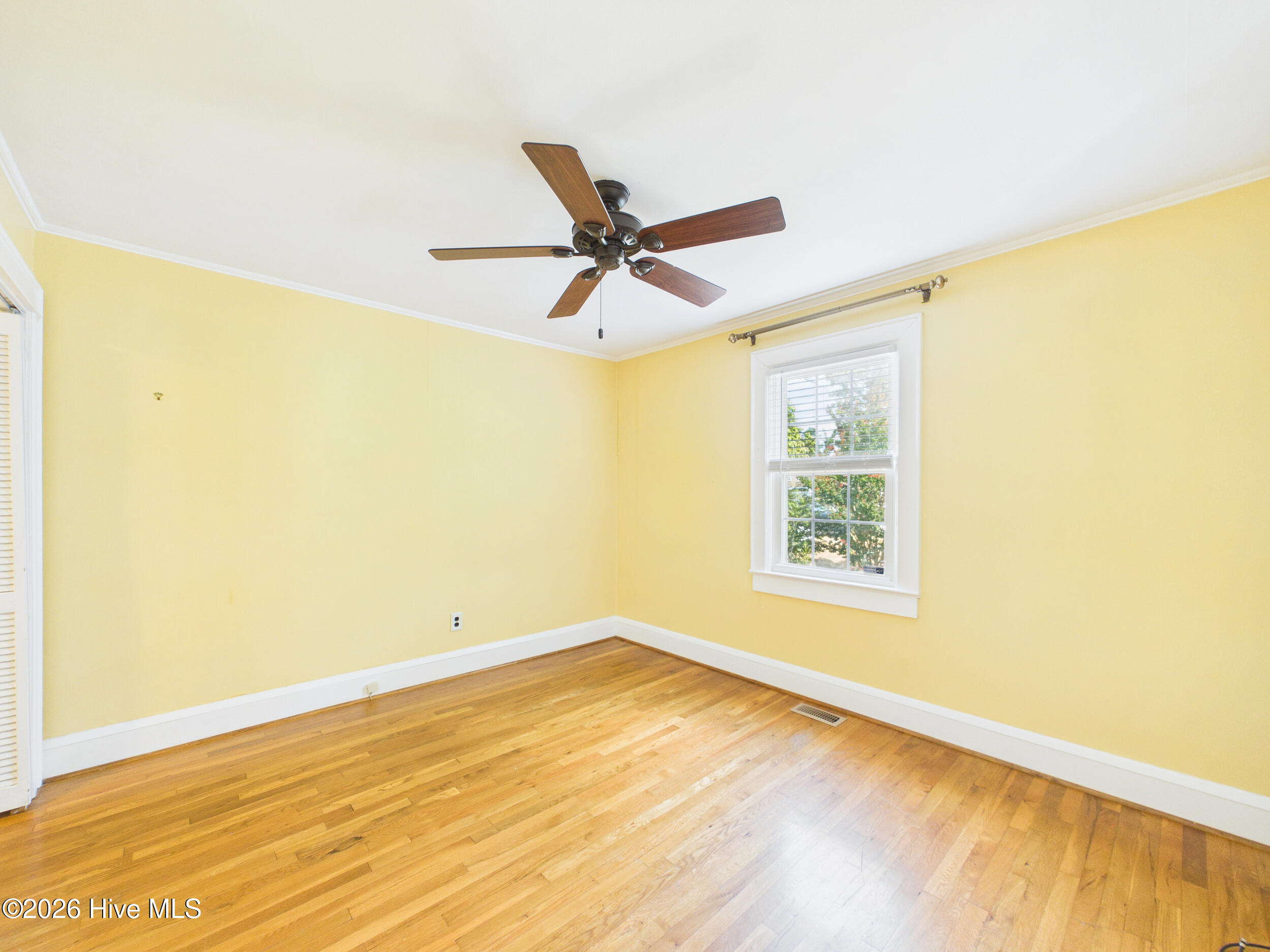 409 Myrtle Avenue Property Photo 57