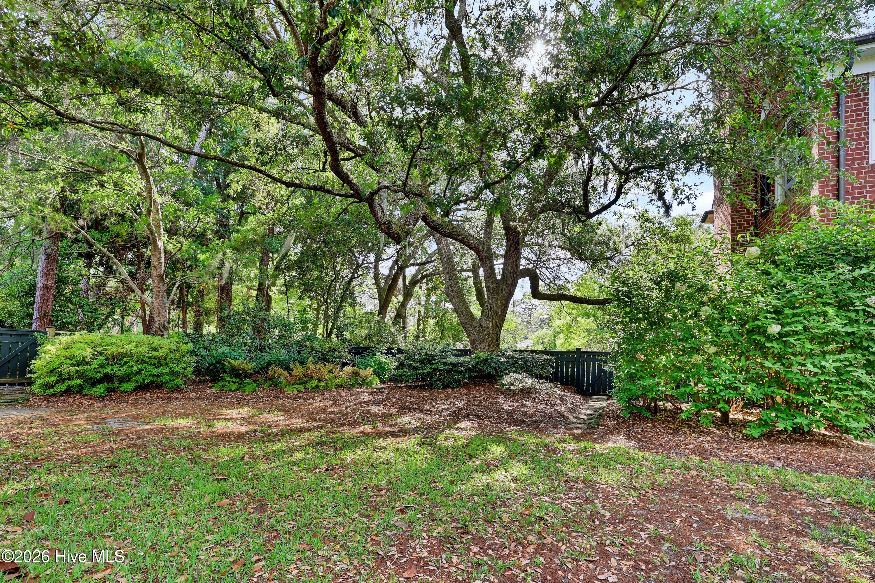 1411 Live Oak Parkway Property Photo 40