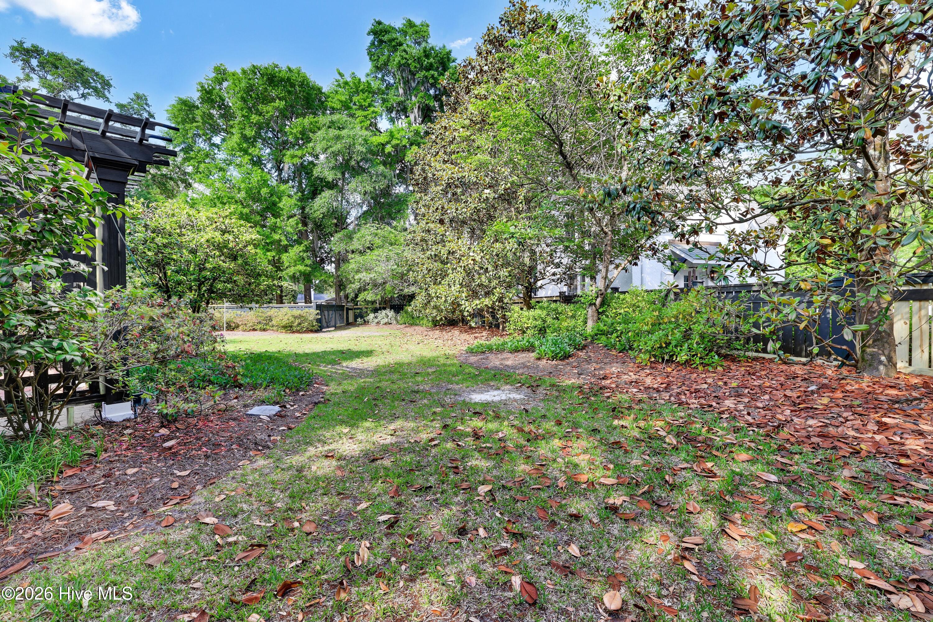 1411 Live Oak Parkway Property Photo 41