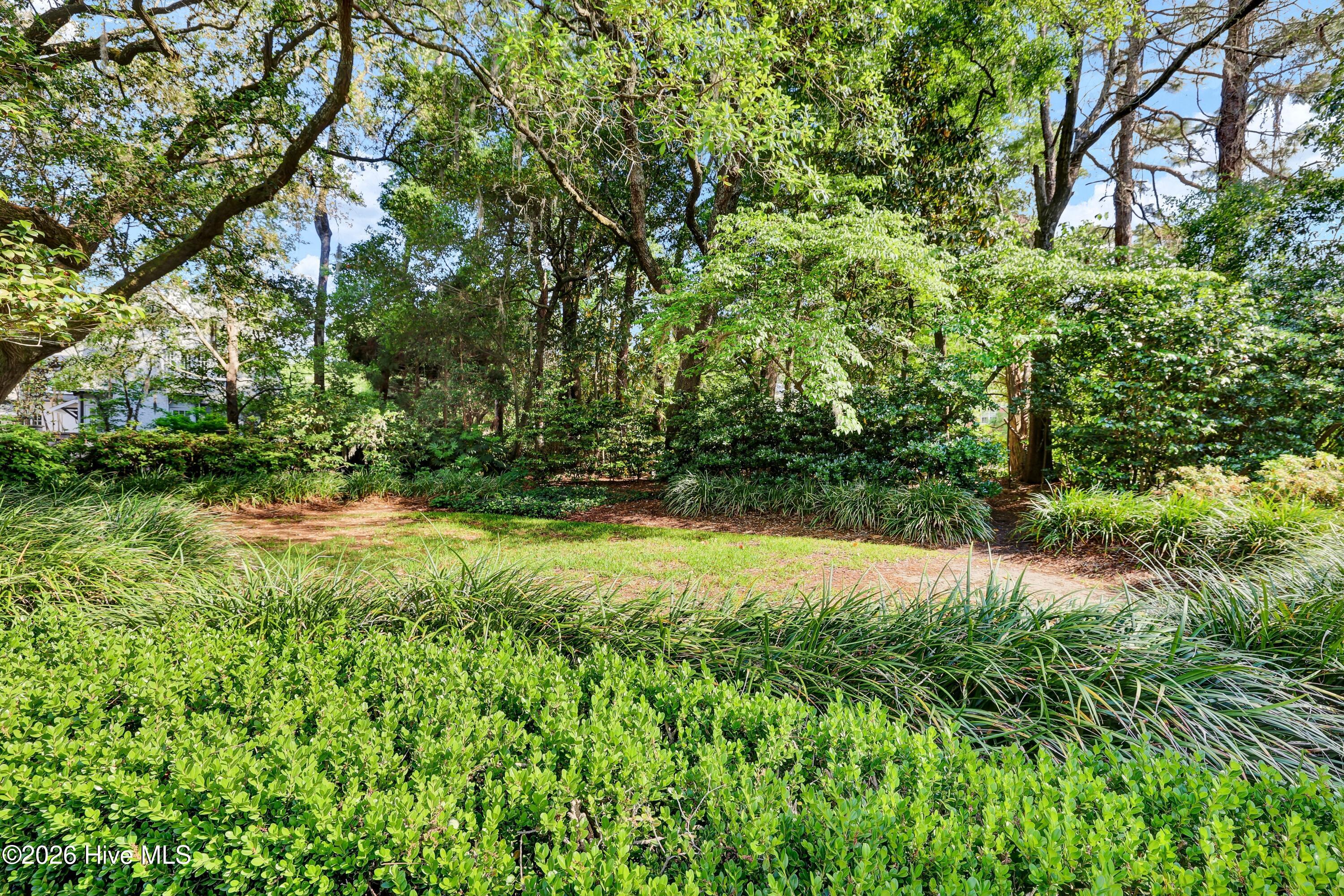 1411 Live Oak Parkway Property Photo 49