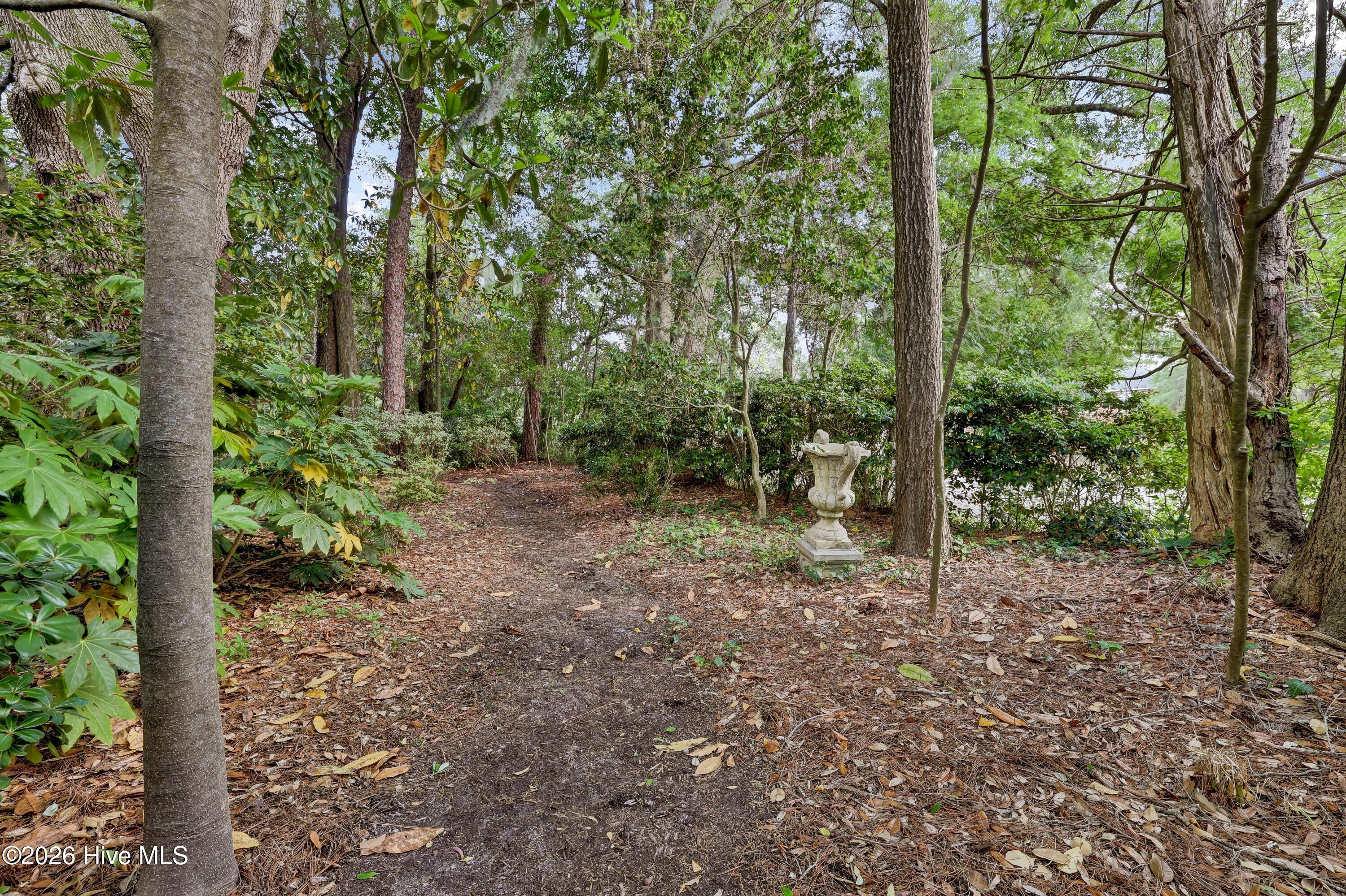 1411 Live Oak Parkway Property Photo 50