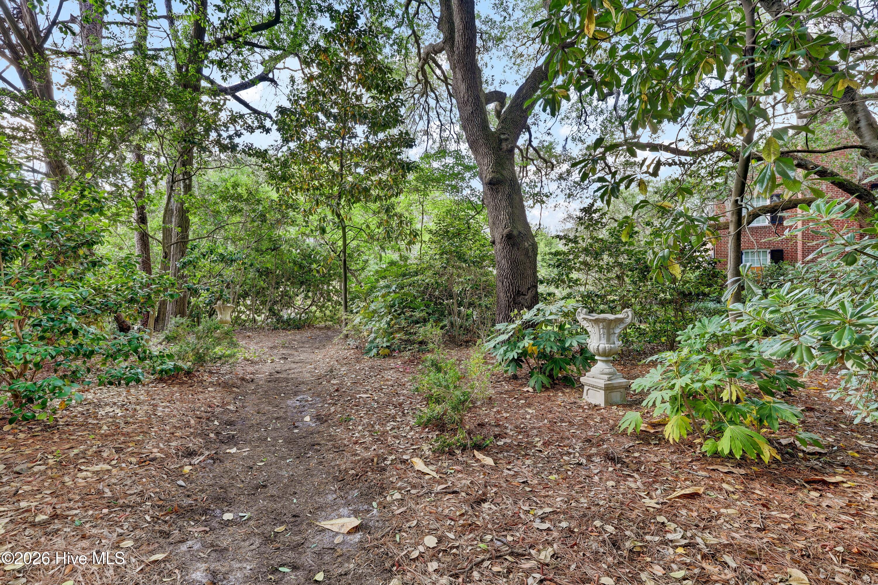 1411 Live Oak Parkway Property Photo 51