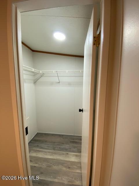 3128 Prophecy Road Property Photo 14