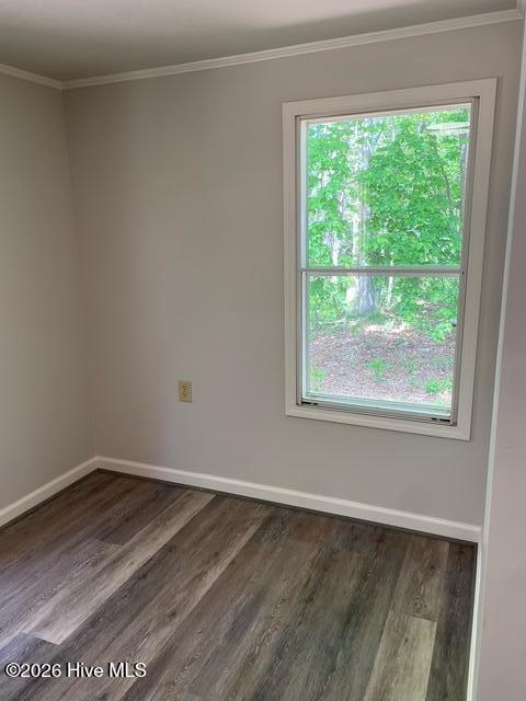 3128 Prophecy Road Property Photo 22