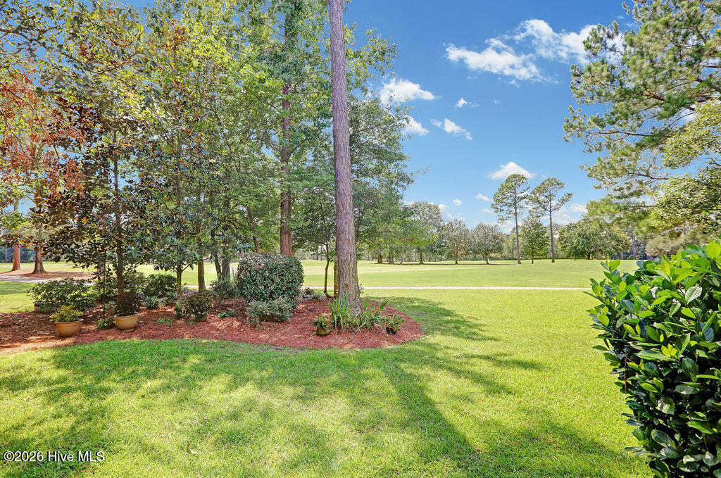 1113 Willow Pond Lane Property Photo 61