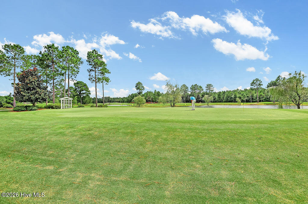 1113 Willow Pond Lane Property Photo 65