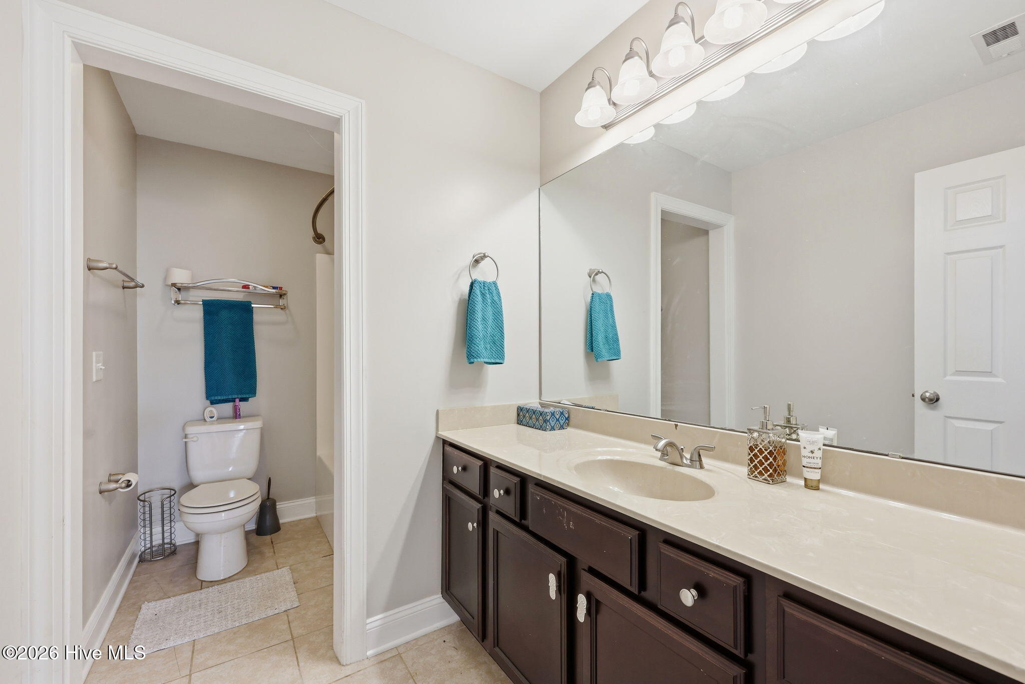 803 Canvas Court Property Photo 28