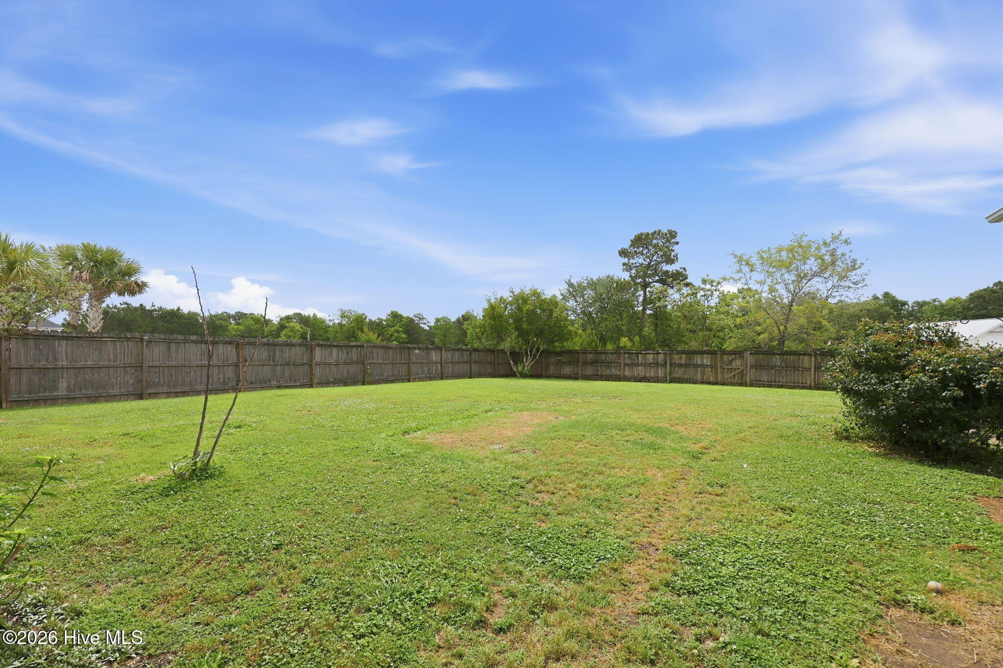803 Canvas Court Property Photo 43
