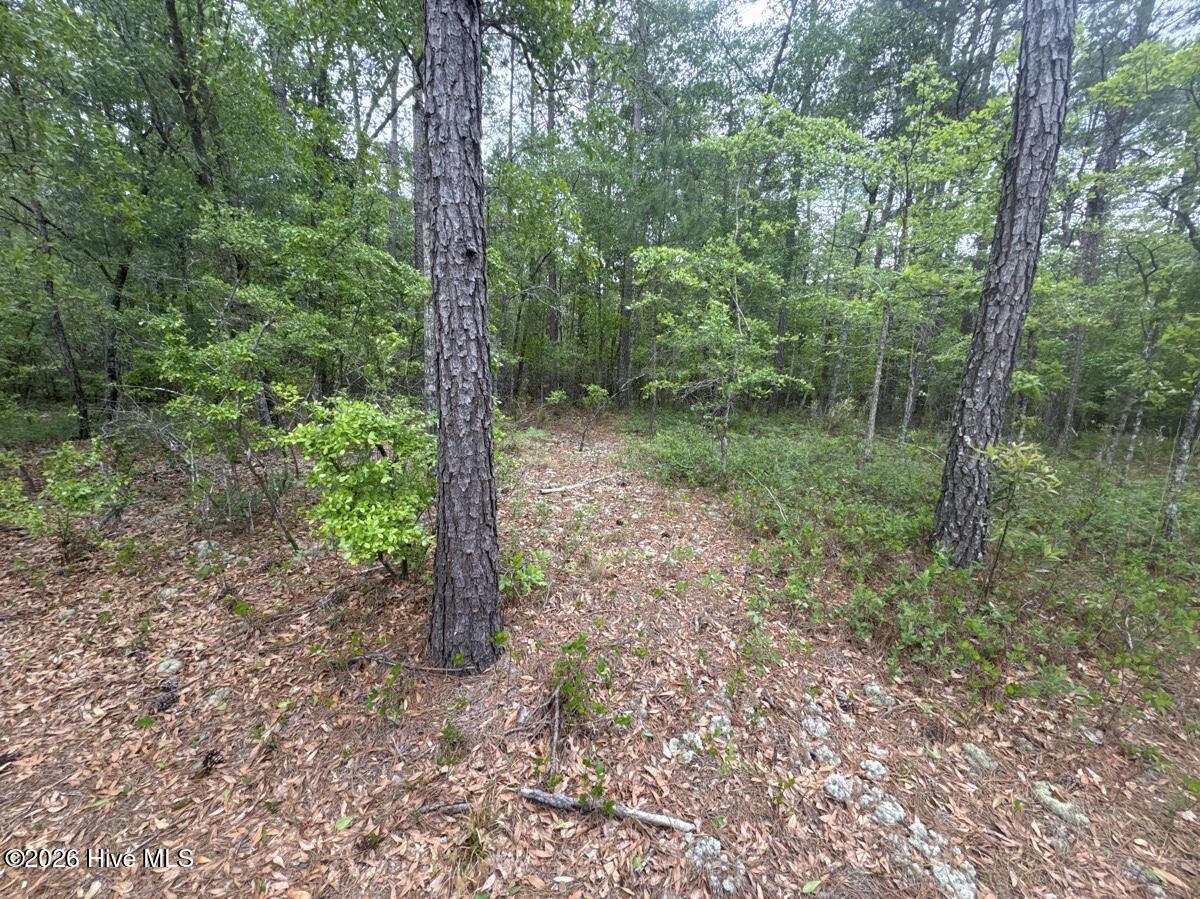 5 Property Photo 1