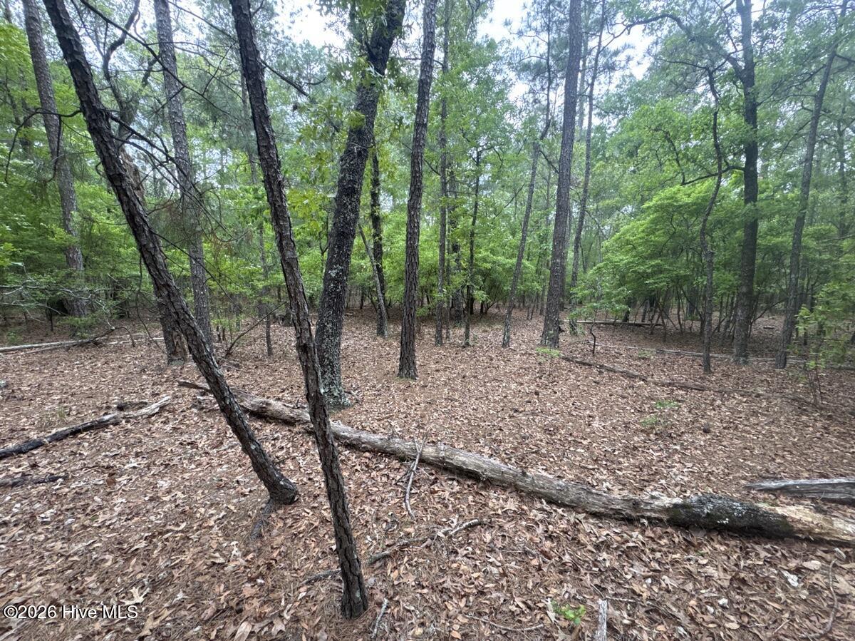 5 Property Photo 5