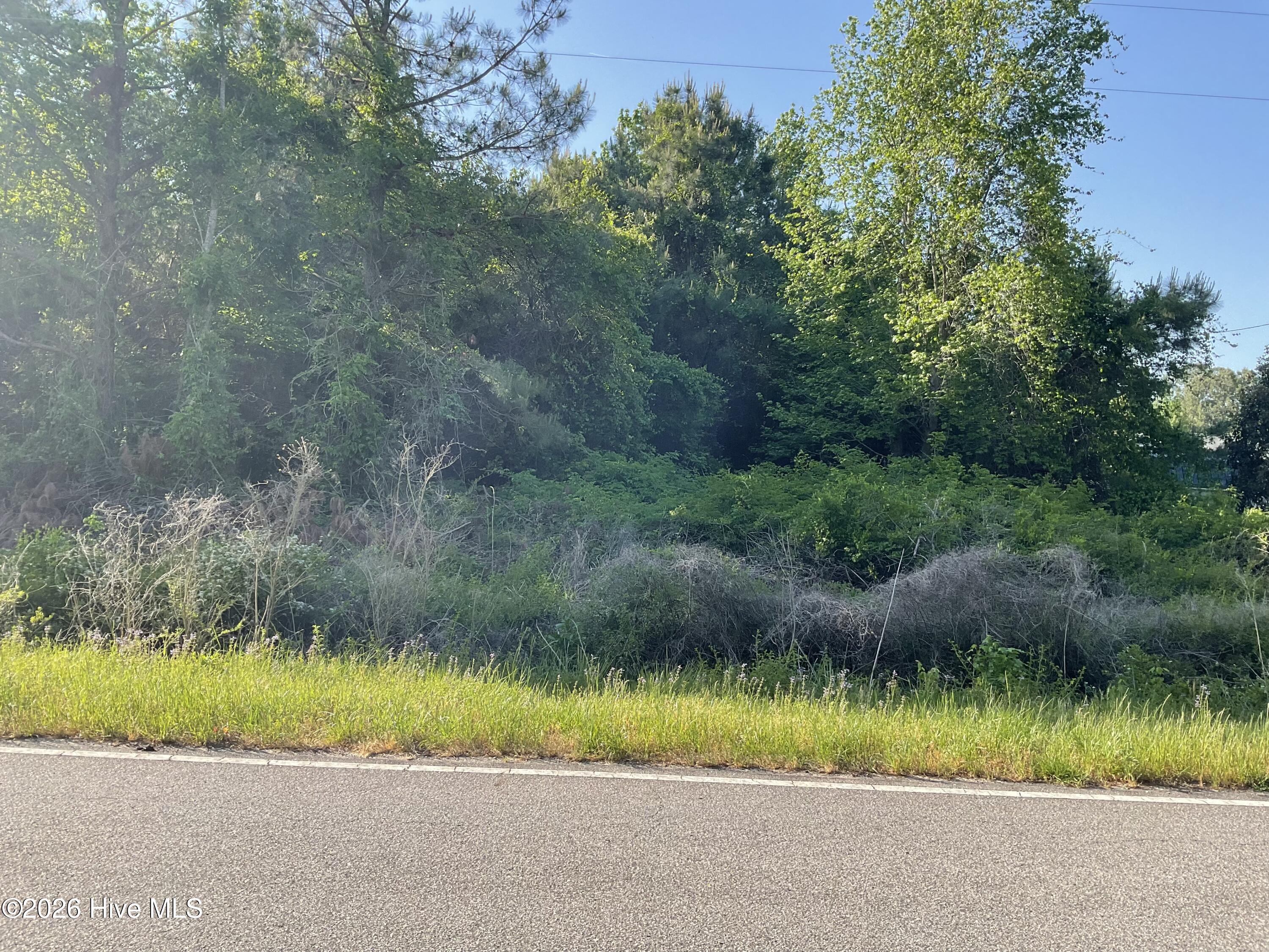 0 Bull Tail Road Property Photo 3