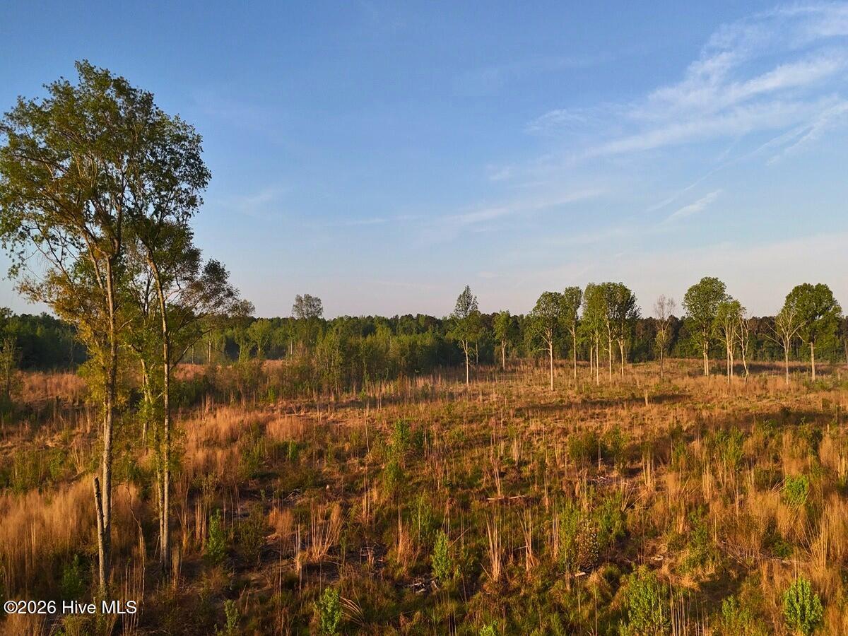 0 Durwood Evans Road Property Photo 26