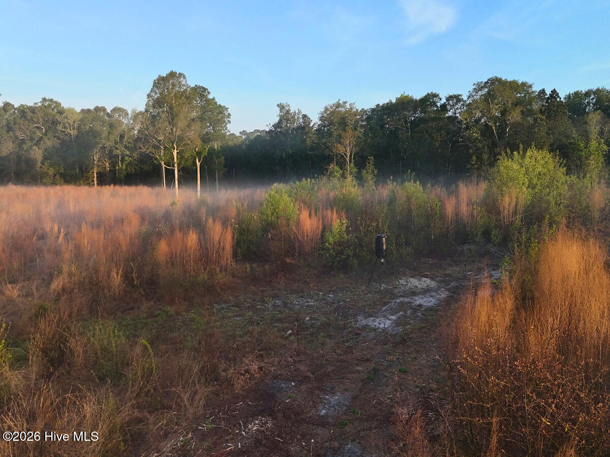 0 Durwood Evans Road Property Photo 34