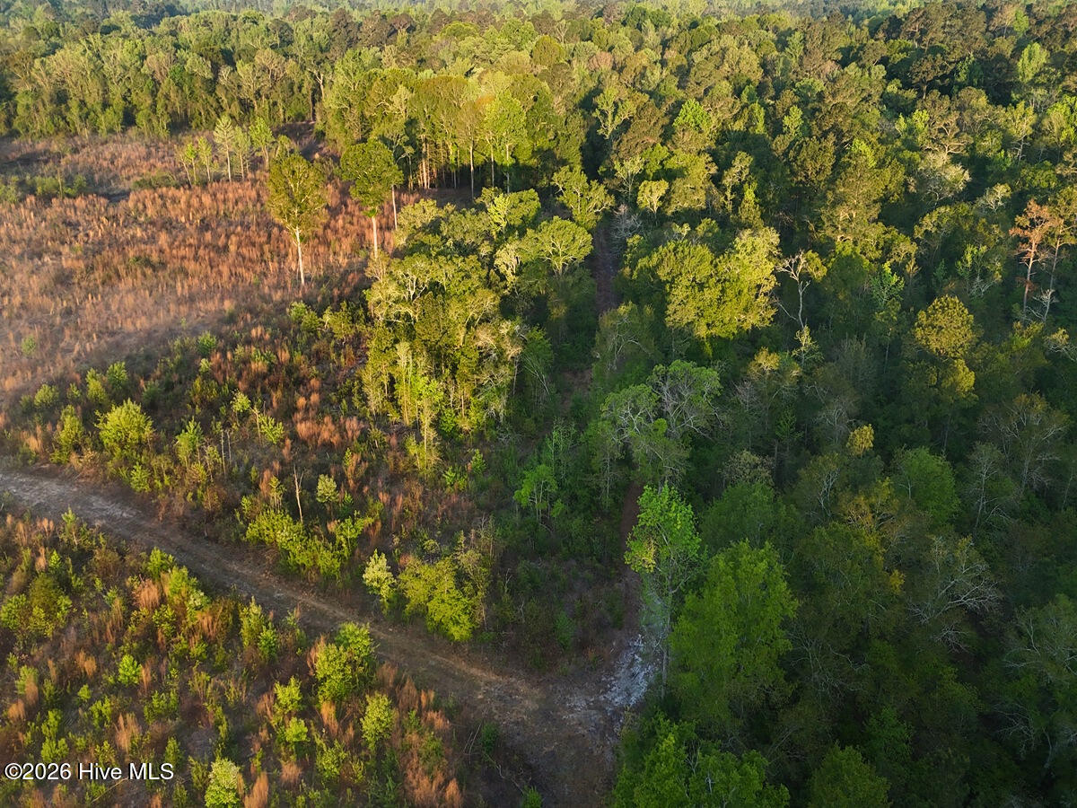 0 Durwood Evans Road Property Photo 38