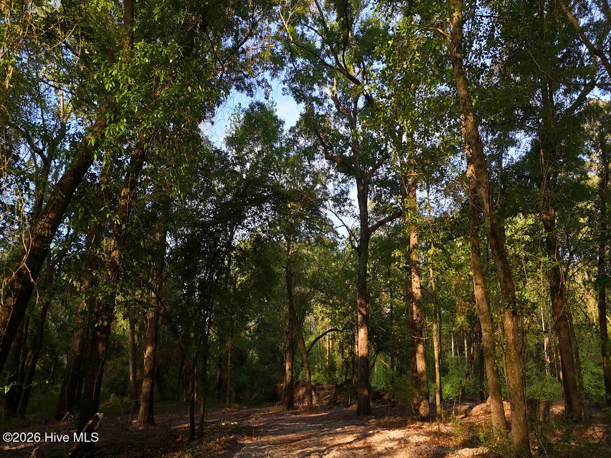 0 Durwood Evans Road Property Photo 50