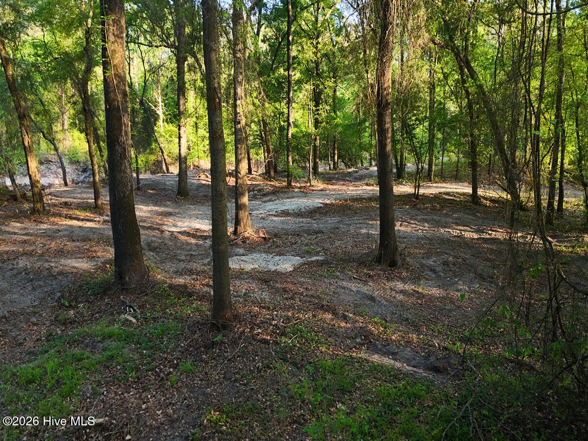 0 Durwood Evans Road Property Photo 51