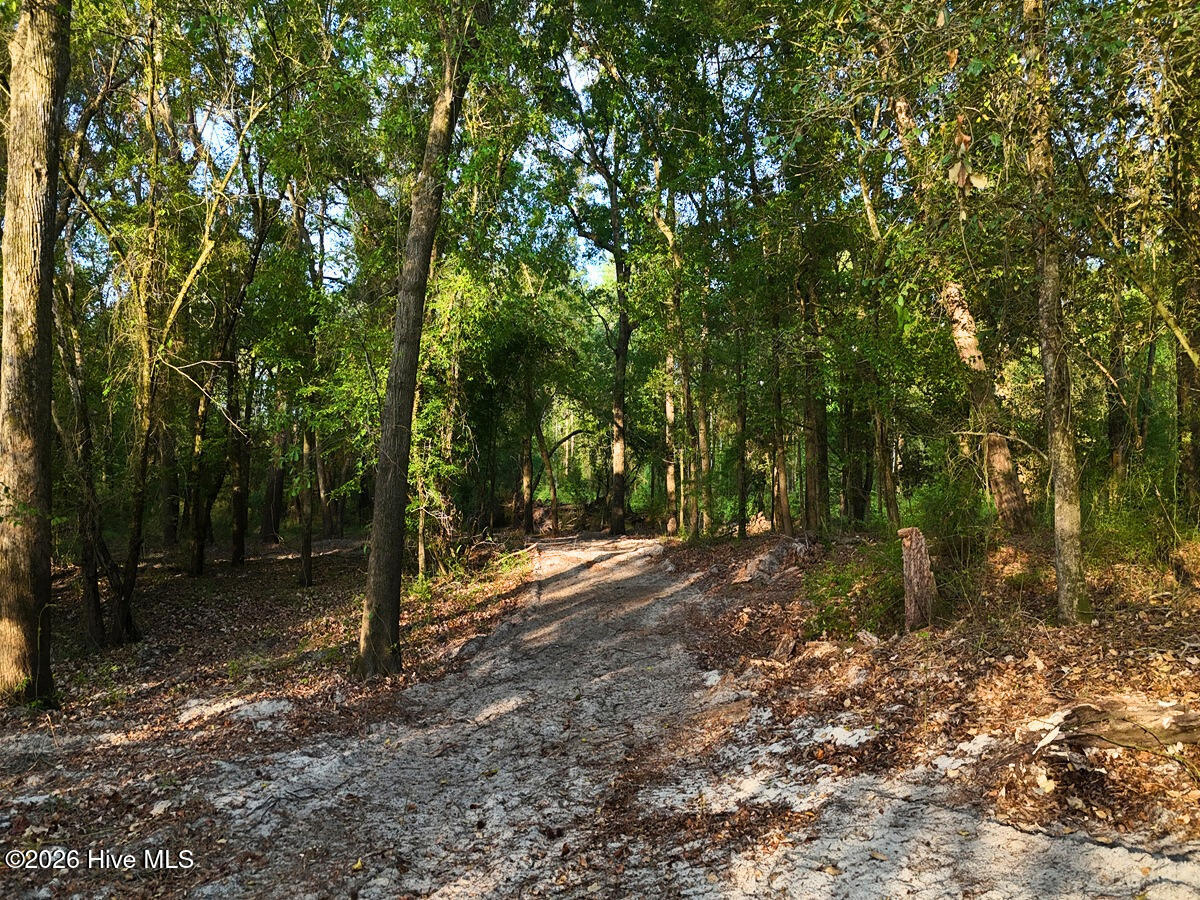 0 Durwood Evans Road Property Photo 52