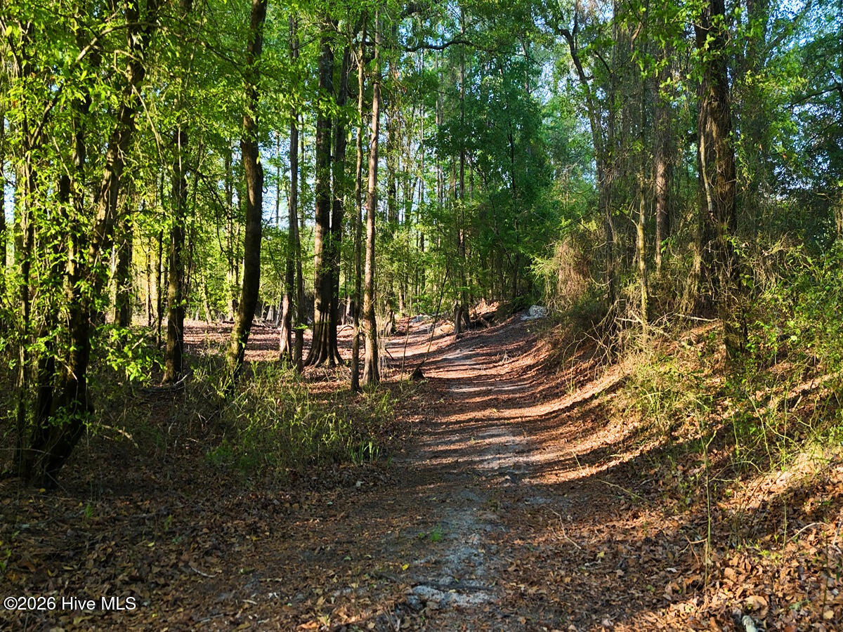 0 Durwood Evans Road Property Photo 53