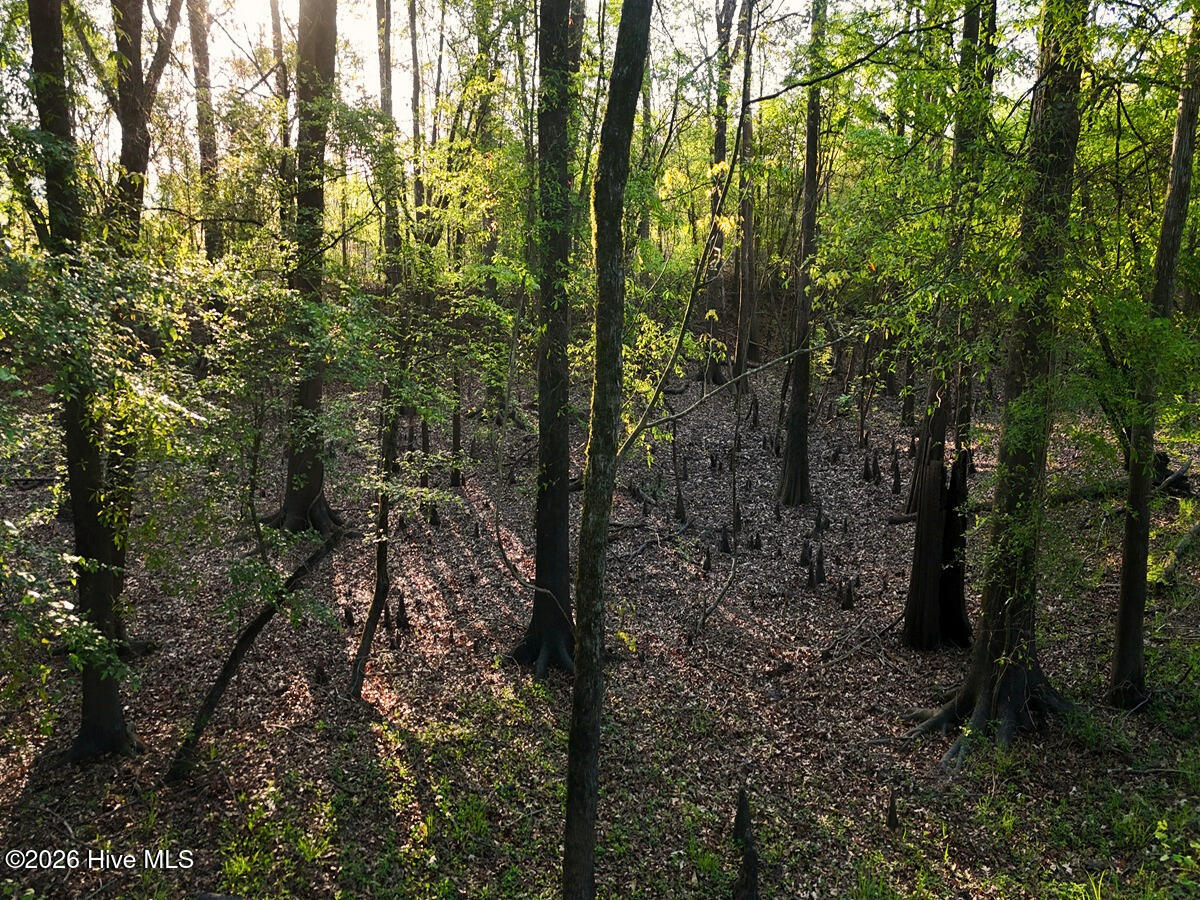 0 Durwood Evans Road Property Photo 54