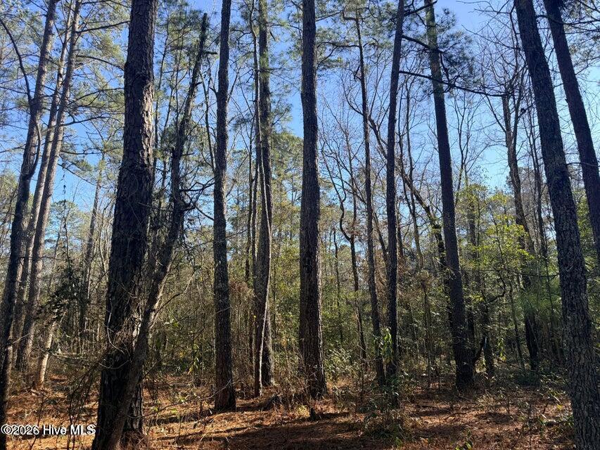 Lot 4 Peach Court Property Photo 2