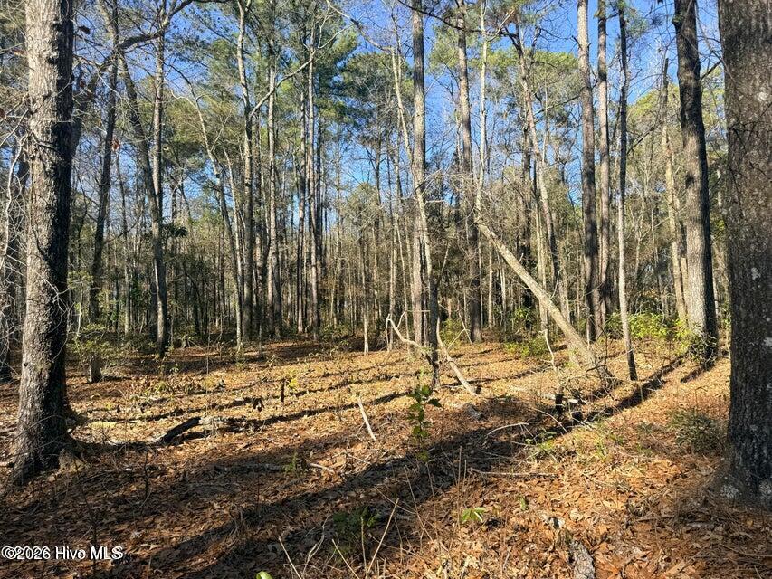 Lot 4 Peach Court Property Photo 3