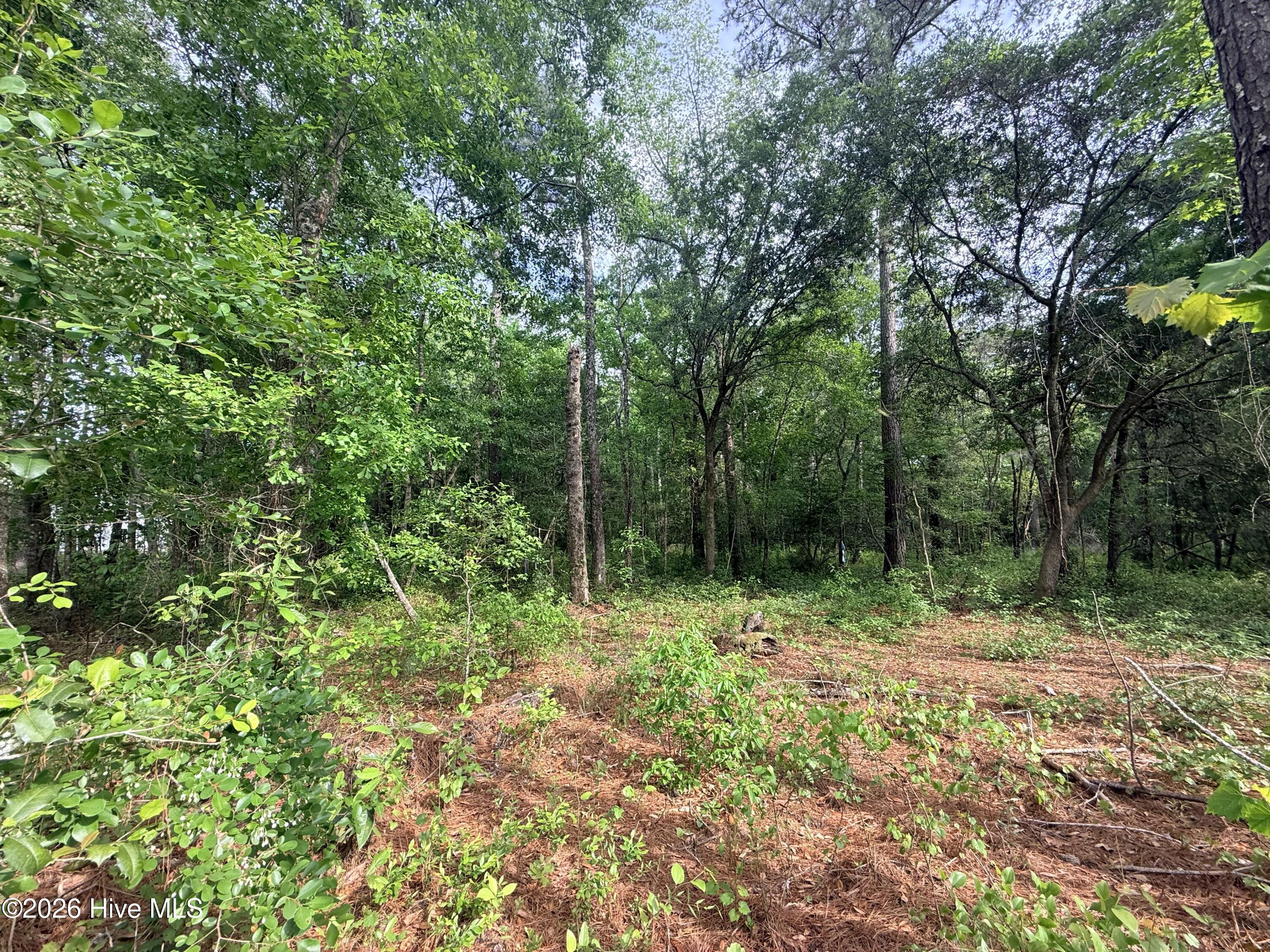Lot 4 Peach Court Property Photo 8