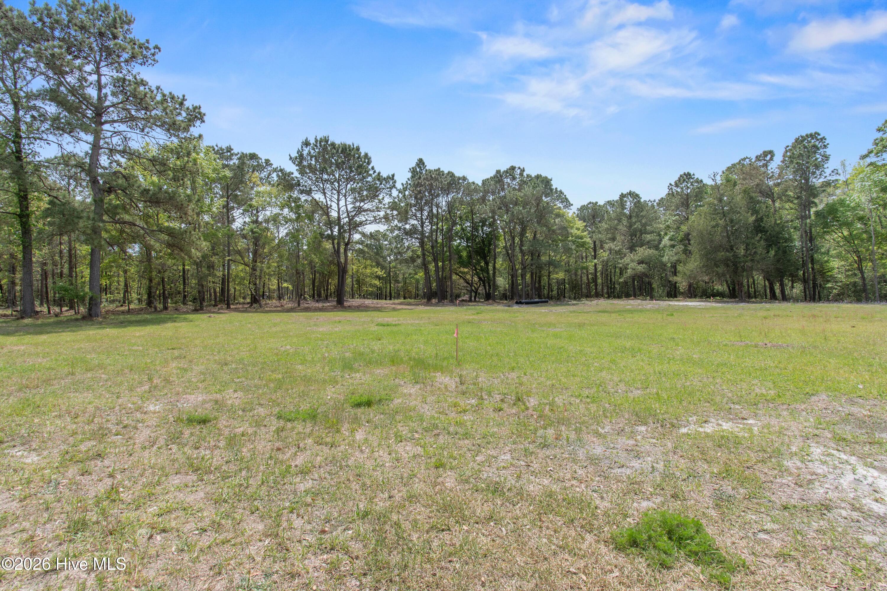3+ Acres Old Ferry Connection Property Photo 3
