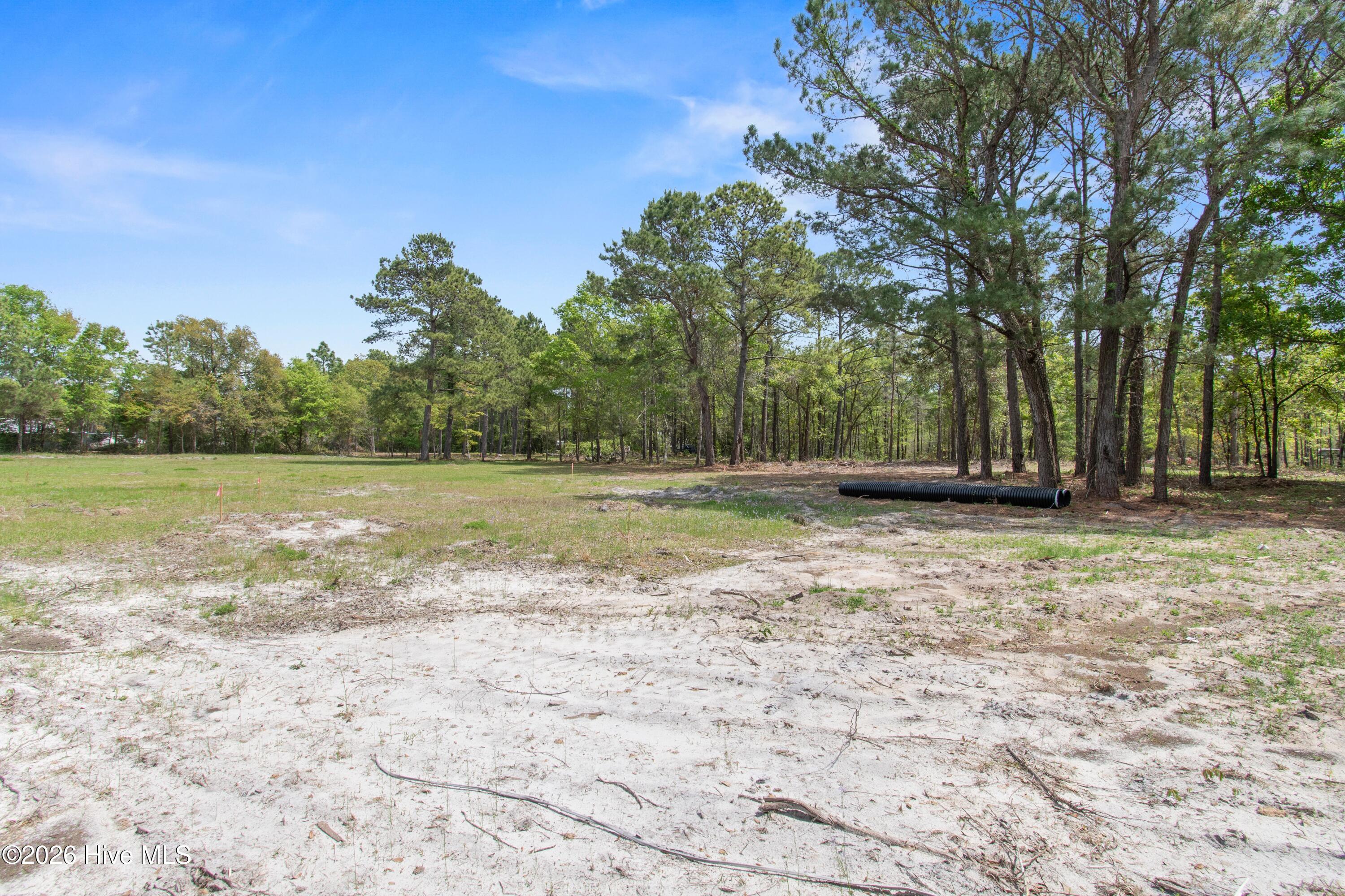 3+ Acres Old Ferry Connection Property Photo 7