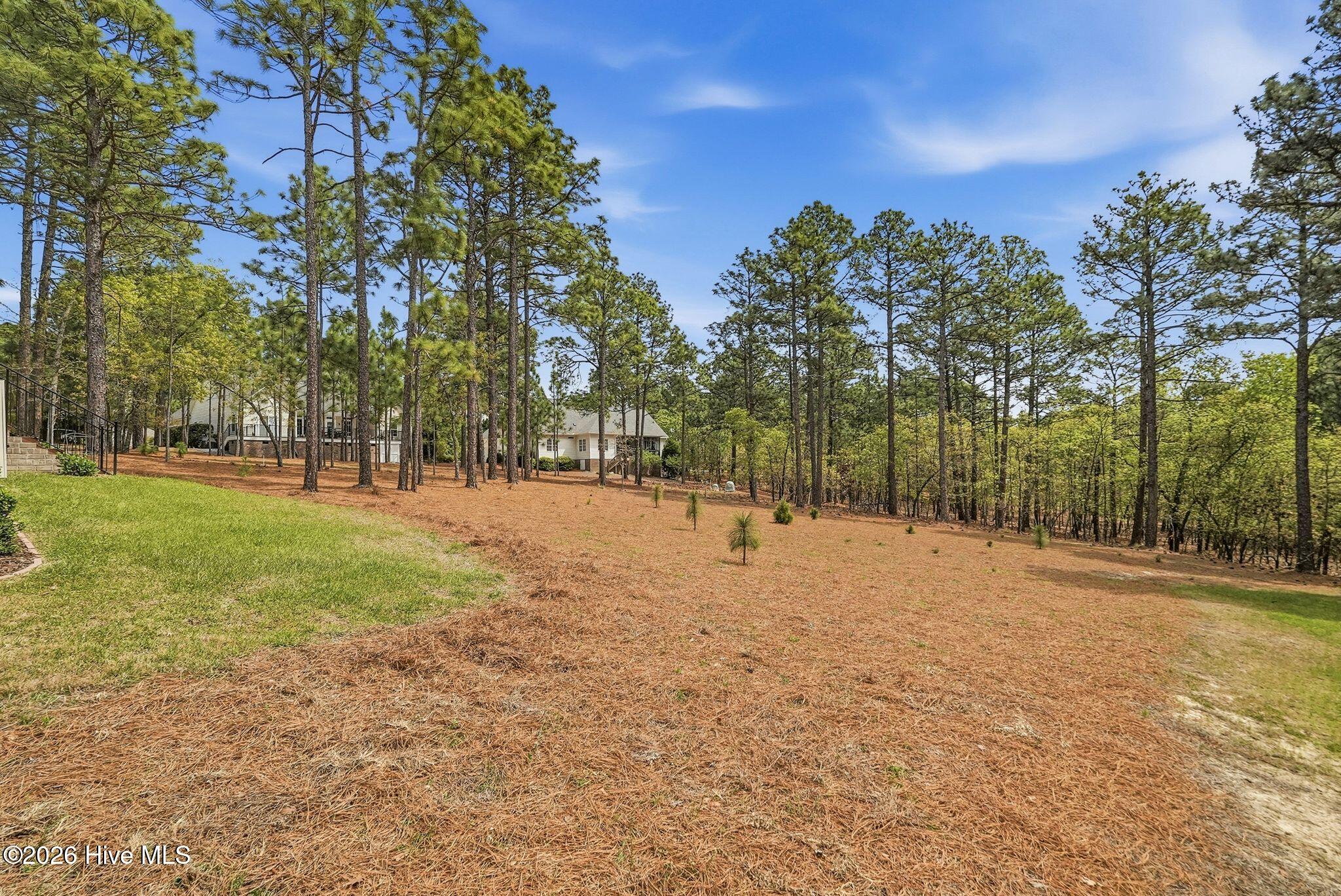 103 Rector Drive Property Photo 31