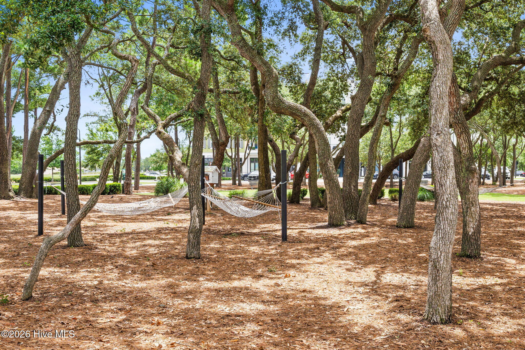 19 Hobie Run Property Photo 62